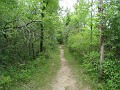 Matthaei Botanical Gardens 2010 0500